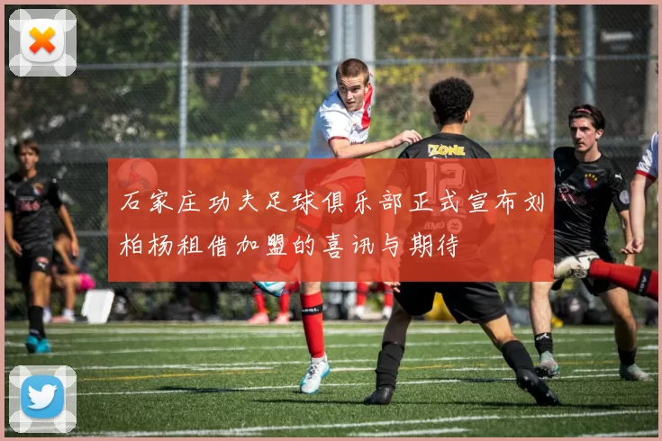 石家庄功夫足球俱乐部正式宣布刘柏杨租借加盟的喜讯与期待
