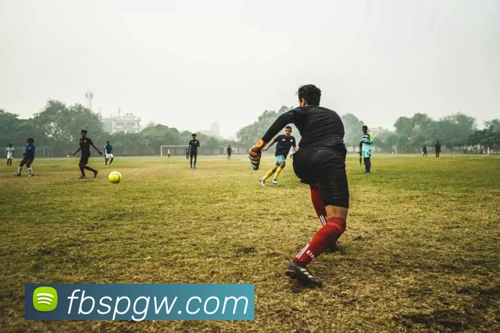 FB体育官网发展历程