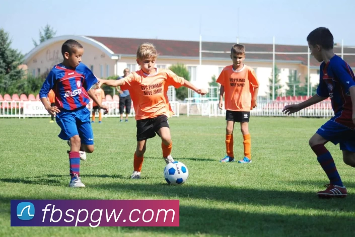 纳帅经纪人揭秘克罗斯转会谈判内幕与挖卡尔尝试的短暂经历